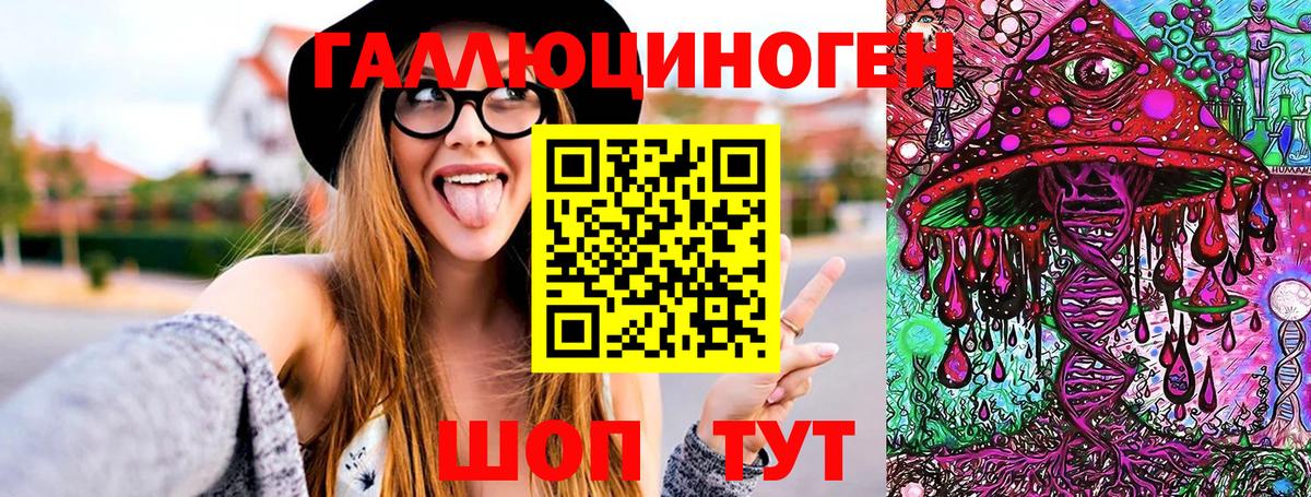 Шебекино  Галлюциногенные грибы Psilocybe  Вход с VPN 